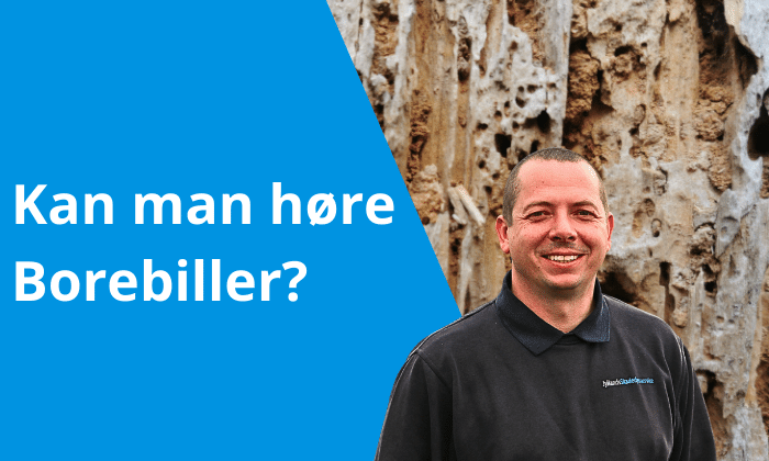 kan man høre borebiller?